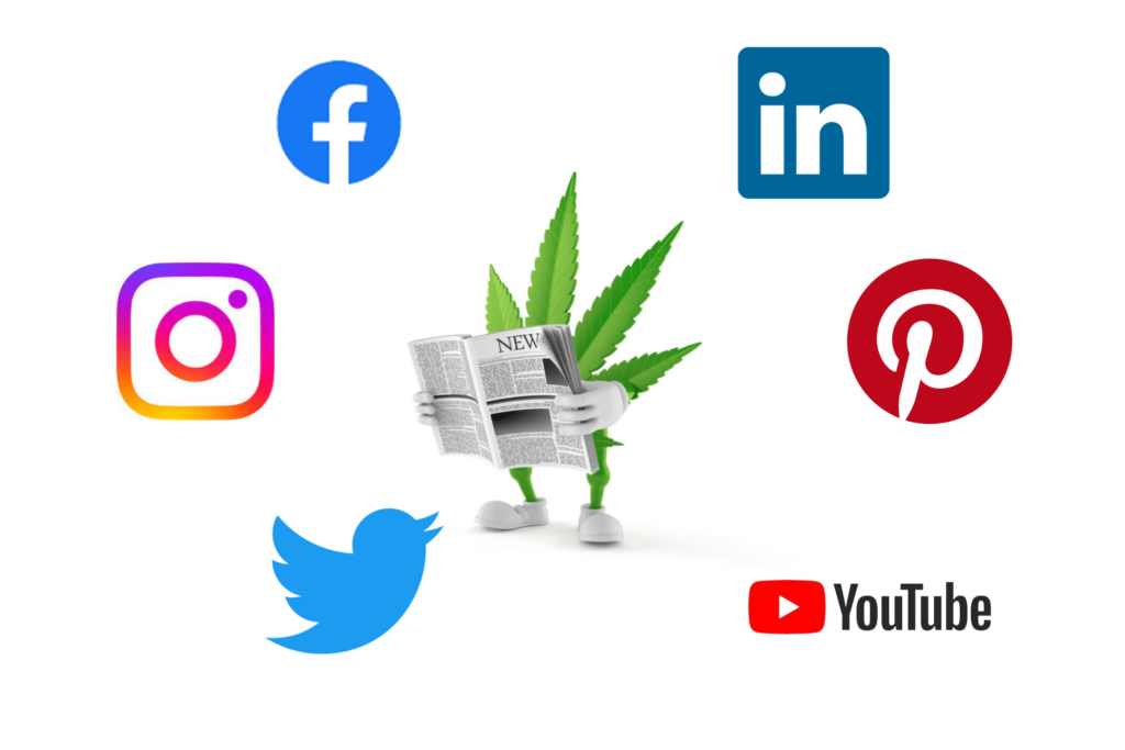 cannabis-seo-services