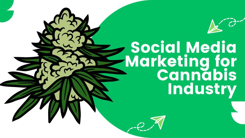 Social Media for Cannabis Industry